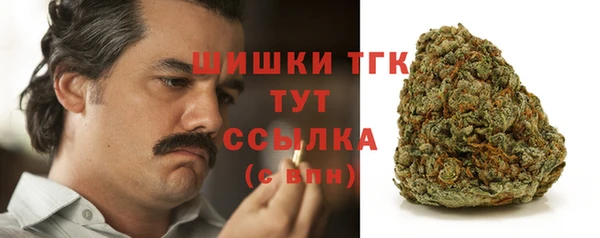 крисы Киренск