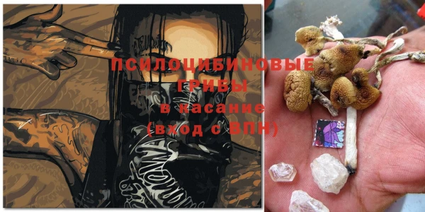 спиды Касимов