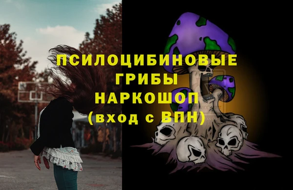 спиды Касимов