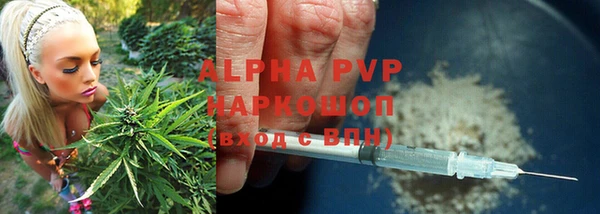 спиды Касимов